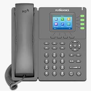 P21/P21P Color Screen Business IP Phone